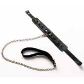 Черный ошейник с шипами и поводком - Crazy Handmade - купить с доставкой в Калуге