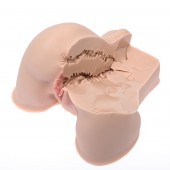 Мастурбатор-полуторс Naked Factory Kate - Naked Factory - в Калуге купить с доставкой