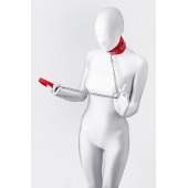 Красный ошейник с подкладкой из меха - ToyFa - купить с доставкой в Калуге