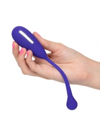 Фиолетовый шарик с электростимуляцией и вибрацией Intimate E-Stimulator Remote Kegel Exerciser - California Exotic Novelties - купить с доставкой в Калуге