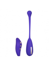 Фиолетовый шарик с электростимуляцией и вибрацией Intimate E-Stimulator Remote Kegel Exerciser - California Exotic Novelties - купить с доставкой в Калуге