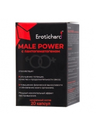 Капсулы для мужчин Erotichard male power с пантогематогеном - 20 капсул (0,370 гр.) - Erotic Hard - купить с доставкой в Калуге