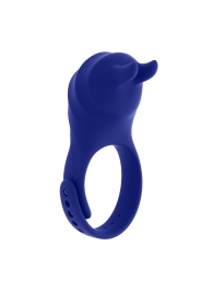 Синее эрекционное виброкольцо с клиторальной подушечкой и пультом ДУ Adjustable Fun Ring - Zero Tolerance - в Калуге купить с доставкой