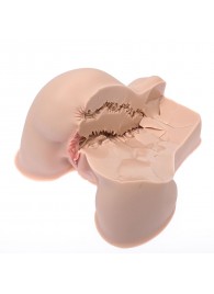 Мастурбатор-полуторс Naked Factory Kate - Naked Factory - в Калуге купить с доставкой