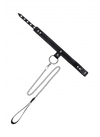 Черный узкий однослойный ошейник с серебристым поводком-цепочкой - Pecado - купить с доставкой в Калуге