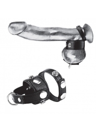 Утяжка для мошонки и пениса Cock Ring With 1  Ball Stretcher And Optional Weight Ring - BlueLine - купить с доставкой в Калуге