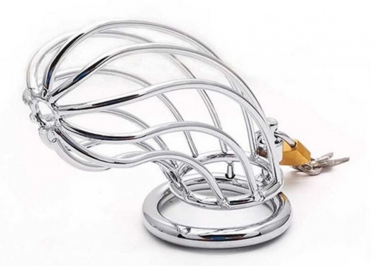 Серебристый мужской пояс верности в виде клетки с замочком - Rubber Tech Ltd - купить с доставкой в Калуге