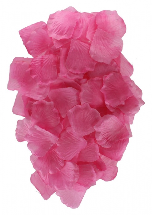 Эротический набор FANTASTIC PURPLE SEX TOY KIT - Toy Joy - купить с доставкой в Калуге