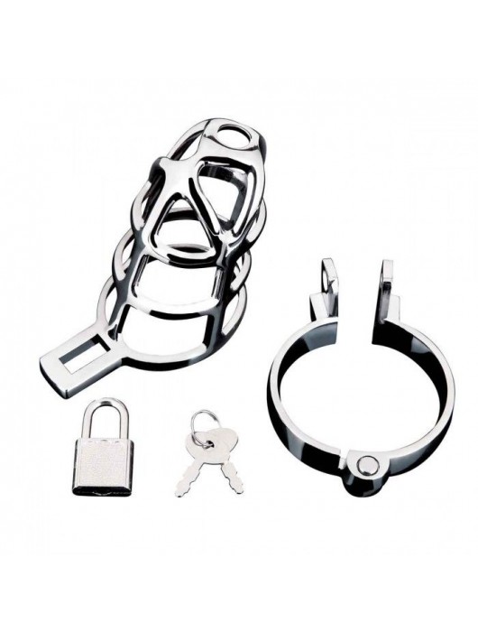 Серебристая металлическая клетка для члена с замком Enslave Cock Cage - BlueLine - купить с доставкой в Калуге