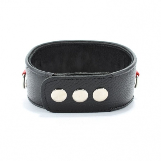 Кожаный ошейник с металлическими клепками - БДСМ Арсенал - купить с доставкой в Калуге