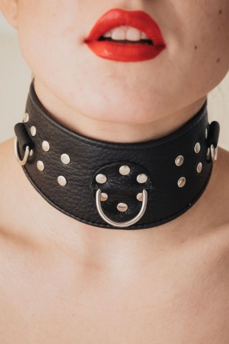 Кожаный ошейник для эротических игр - БДСМ Арсенал - купить с доставкой в Калуге