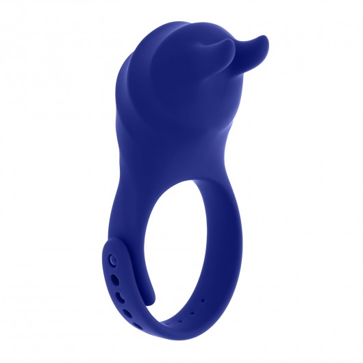 Синее эрекционное виброкольцо с клиторальной подушечкой и пультом ДУ Adjustable Fun Ring - Zero Tolerance - в Калуге купить с доставкой