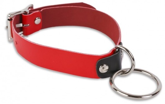 Красный ошейник с колечком - Пикантные штучки - купить с доставкой в Калуге