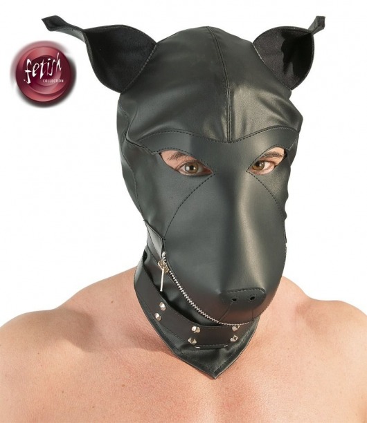 Шлем-маска Dog Mask в виде морды собаки - Orion - купить с доставкой в Калуге