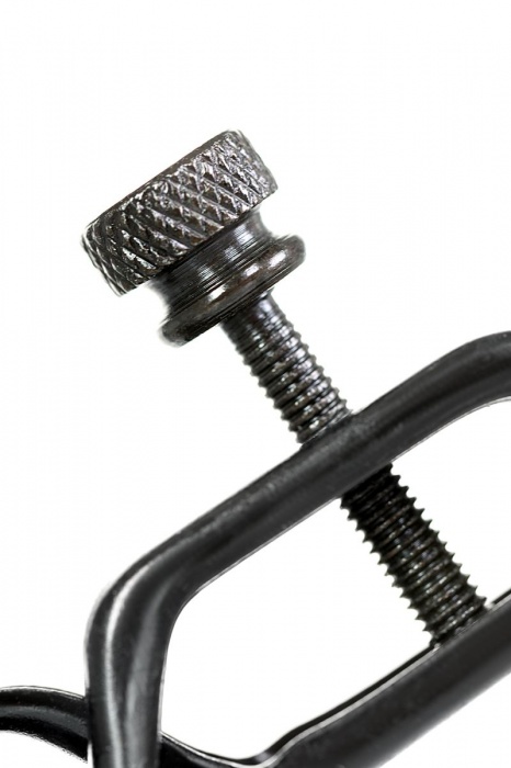 Черно-золотистые зажимы для сосков TOYFA Theatre - ToyFa - купить с доставкой в Калуге